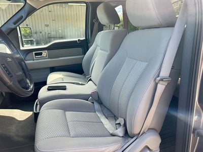 2009 Ford F-150 XL
