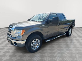 2009 Ford F-150 XL